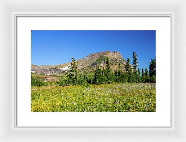 Glacier National Park - Framed Print