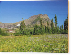 Glacier National Park - Wood Print
