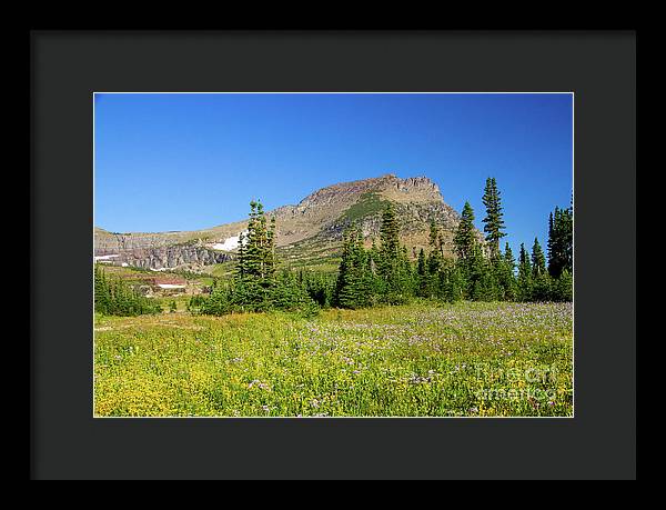 Glacier National Park - Framed Print
