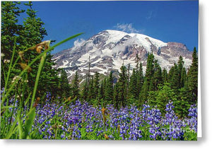 Mt Rainier with purple flowers - Greeting Card