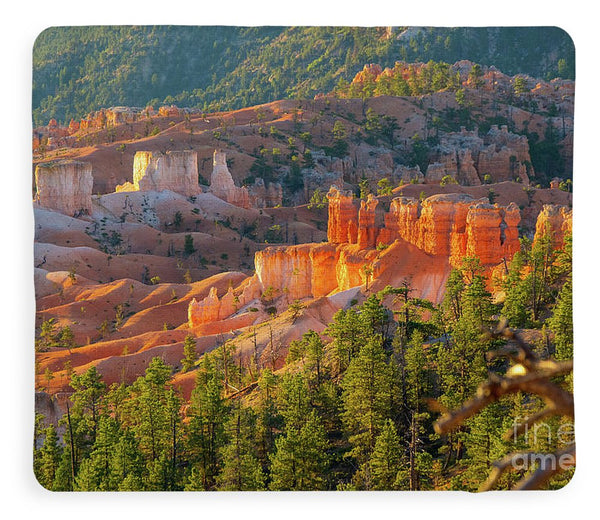 Bryce Canyon National Park - Blanket