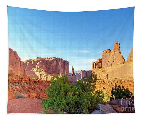 Arches National Park Courthouse Towers - Tapestry