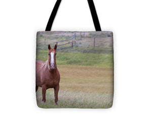 Brown Horse in Field - Tote Bag