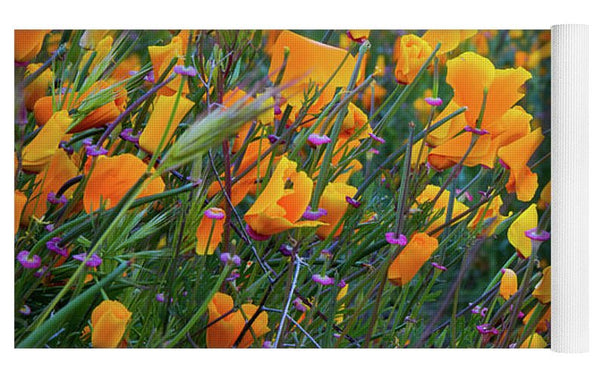 California Poppies during the 2019 Superbloom - Yoga Mat