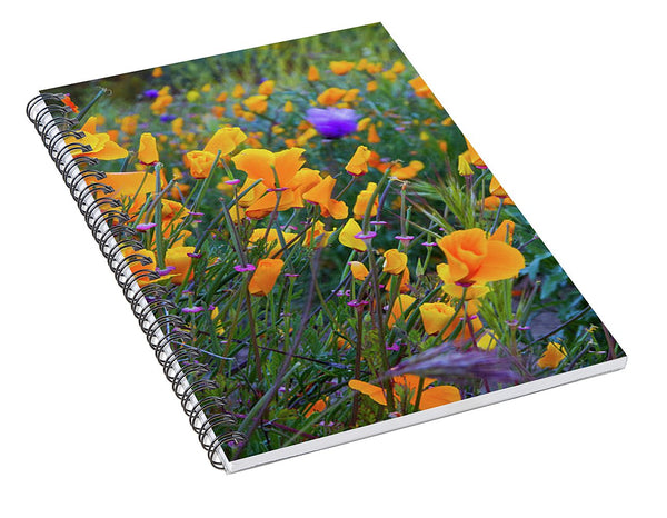 California Poppies during the 2019 Superbloom - Spiral Notebook