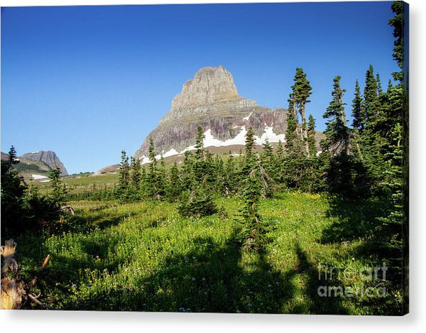 Glacier National Park - Acrylic Print