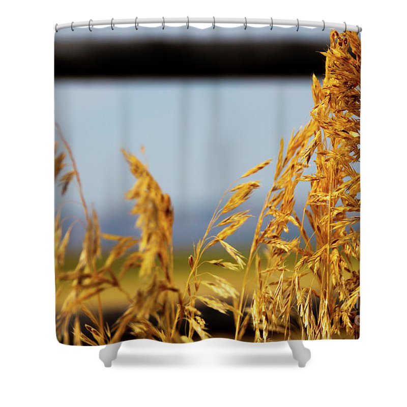Grass - Shower Curtain