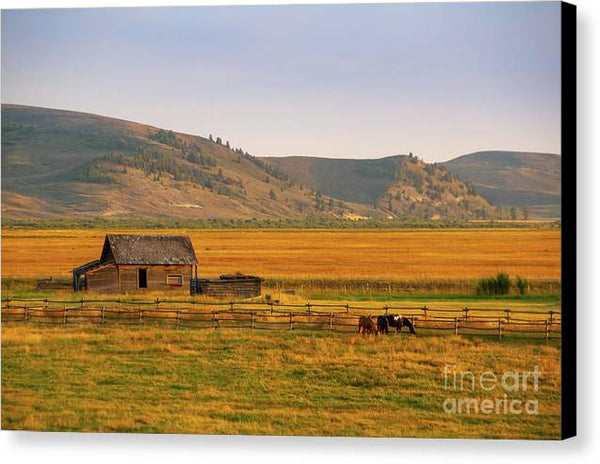 Keogh Ranch Landscape - Daniel Wyoming - Canvas Print