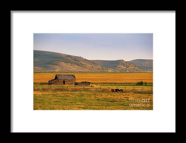 Keogh Ranch Landscape - Daniel Wyoming - Framed Print