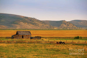 Keogh Ranch Landscape - Daniel Wyoming - Art Print