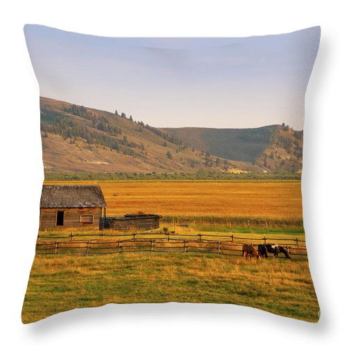 Keogh Ranch Landscape - Daniel Wyoming - Throw Pillow