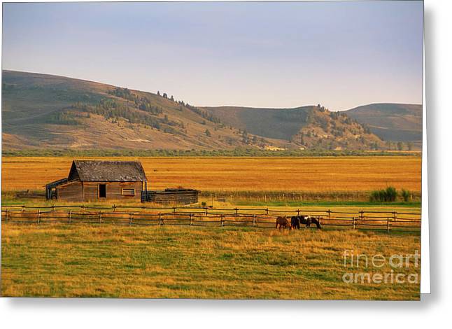 Keogh Ranch Landscape - Daniel Wyoming - Greeting Card