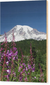 Mt Rainier with purple flowers - Wood Print