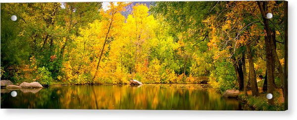 USA-0002-Fall Colors in Boulder - Acrylic Print